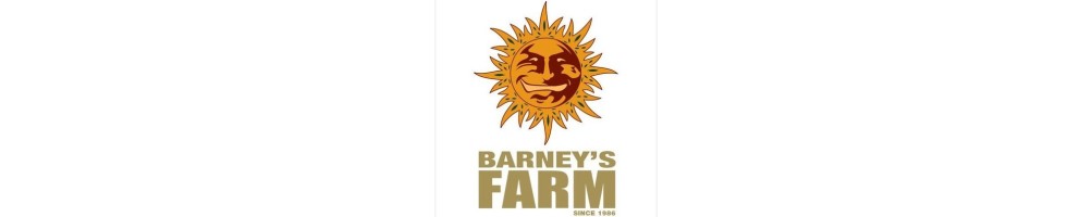 "Barney's Farm: Semini di Cannabis di Qualità Superiore"