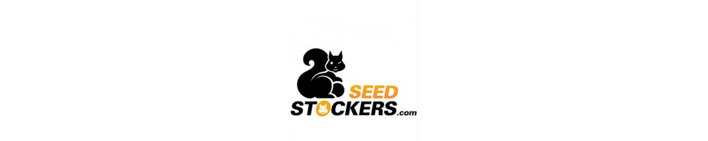 Seed Stockers Femminizzati