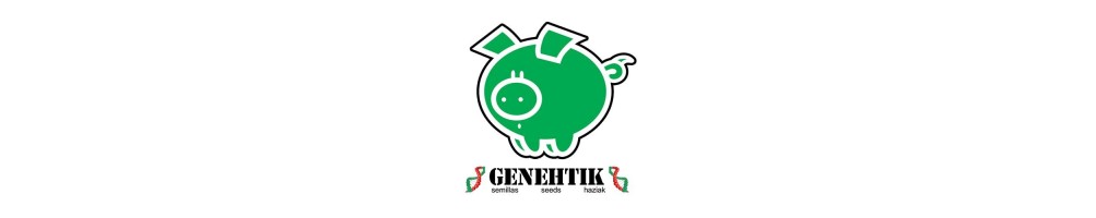 Genehtik Fem