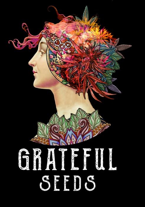 The Grateful Seeds