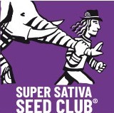 Super Sativa Seed Club