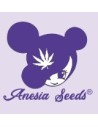 Anesia Seeds