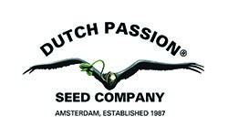 Dutch Passion