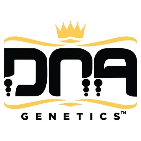 DNA Genetics